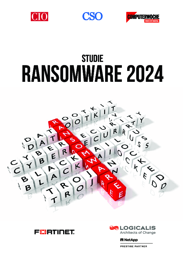 Ransomware 2024: Ergebnisberichtsband - B2B Digital Now